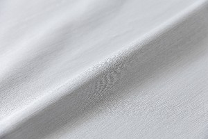 HS12420-1 SILVER